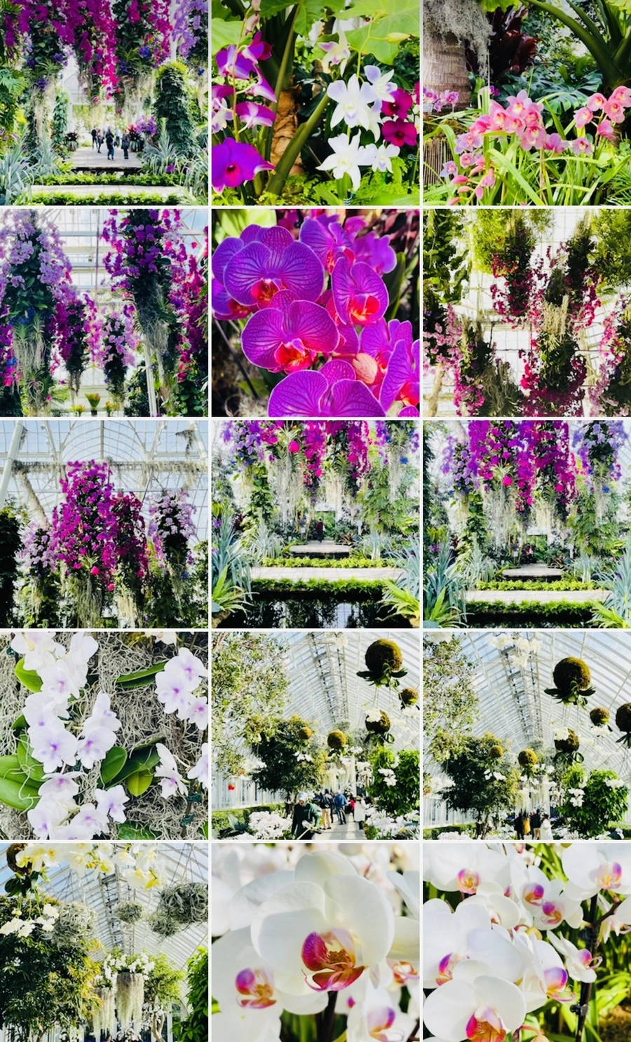 IMG_4692.jpg?type=w966