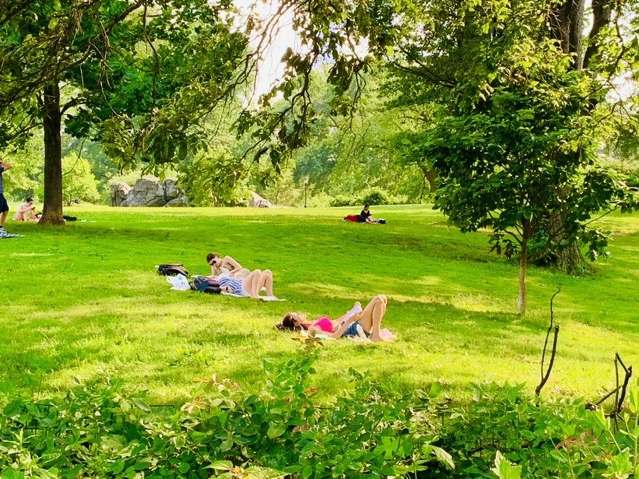 Rva-WJ7HIu0jMGxhIUPsP-Dr1qM