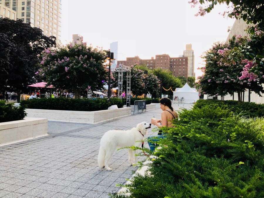 IMG_0699.jpg?type=w966