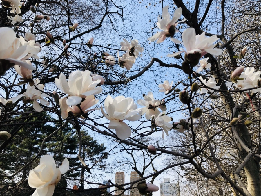 IMG_6469.jpg?type=w966