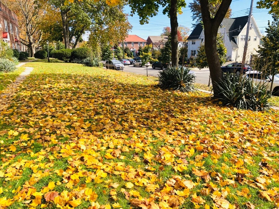 IMG_7485.jpg?type=w966