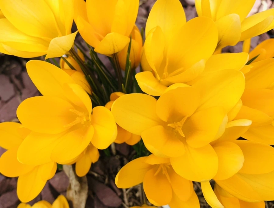 IMG_1091.jpg?type=w966