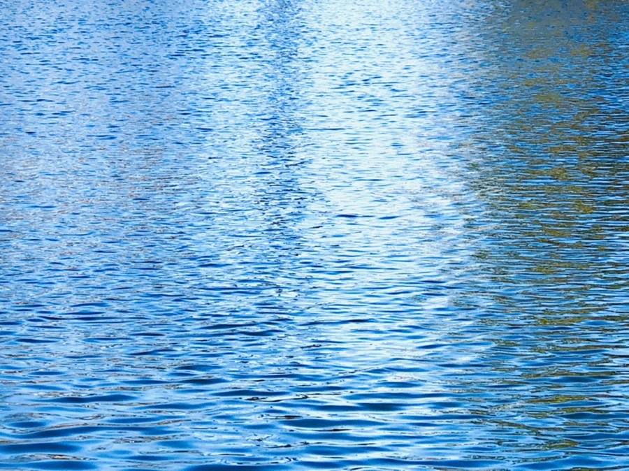 IMG_3771.jpg?type=w966