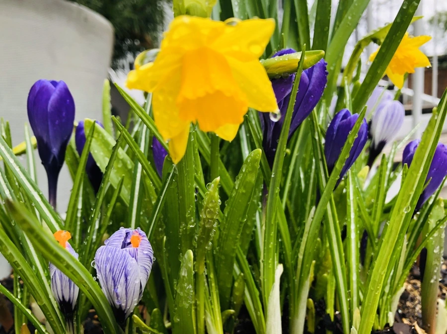 IMG_6211.jpg?type=w966