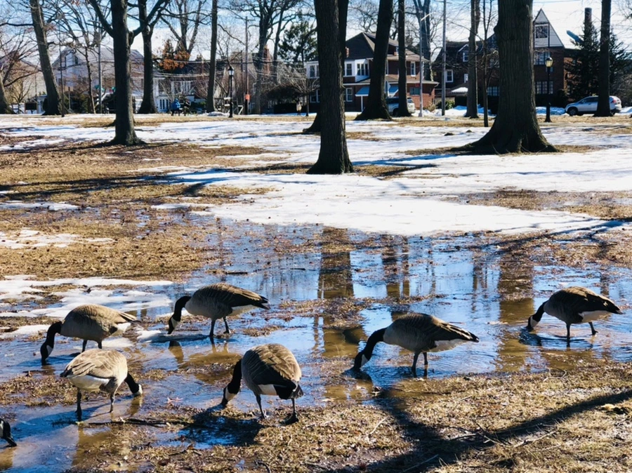 IMG_4972.jpg?type=w966