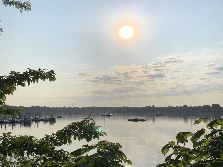 IMG_5841.jpg?type=w966