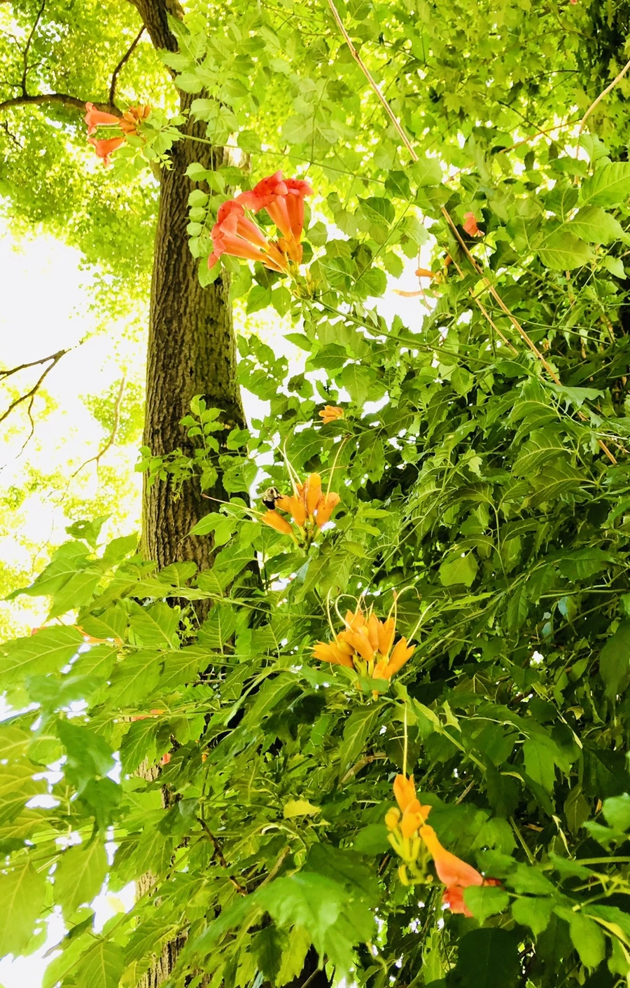 IMG_2134.jpg?type=w966