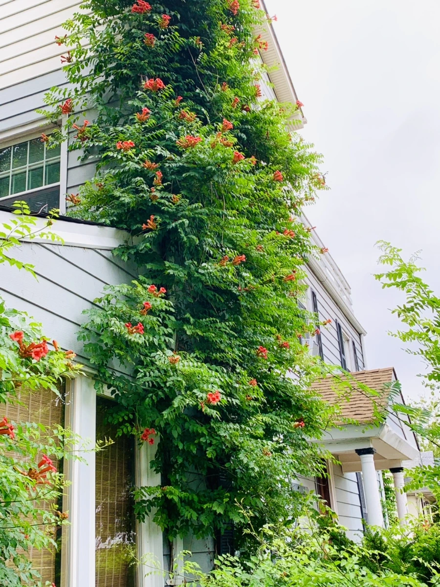 IMG_6946.jpg?type=w966