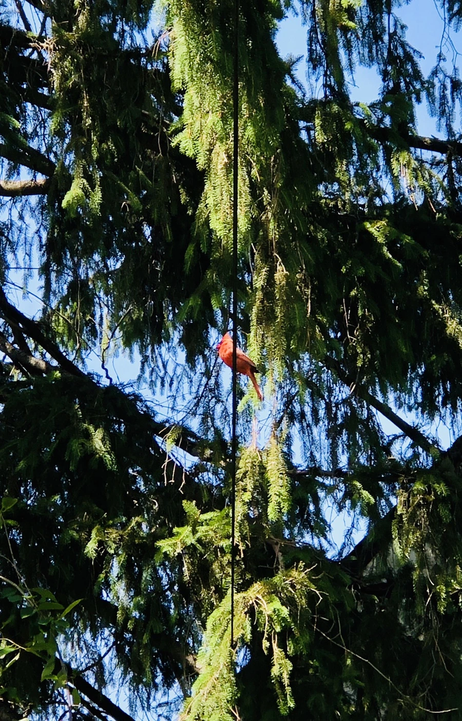 IMG_9407.jpg?type=w966