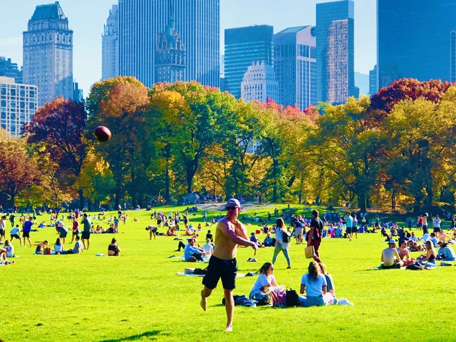 IMG_3953.jpg?type=w966