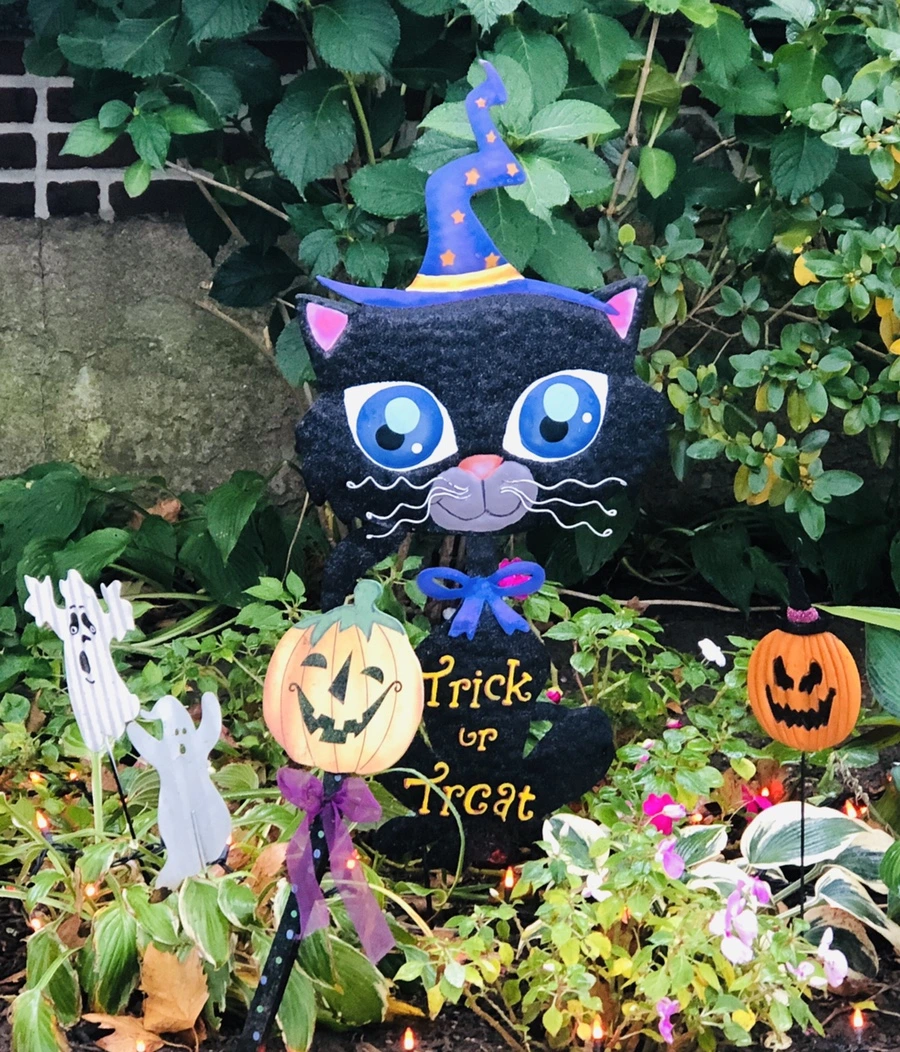 IMG_2971.jpg?type=w966