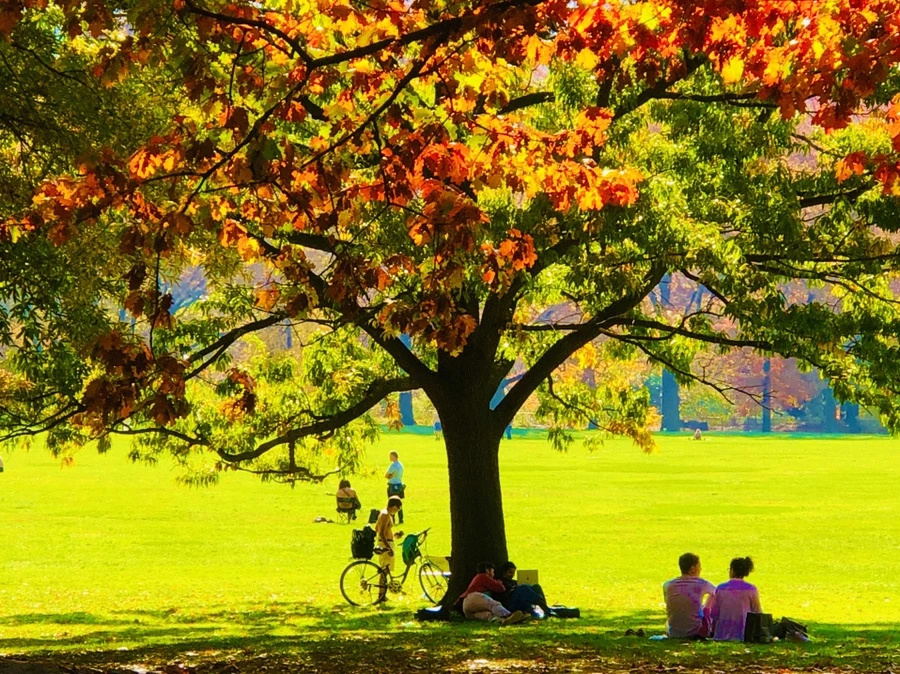 IMG_4332.jpg?type=w966