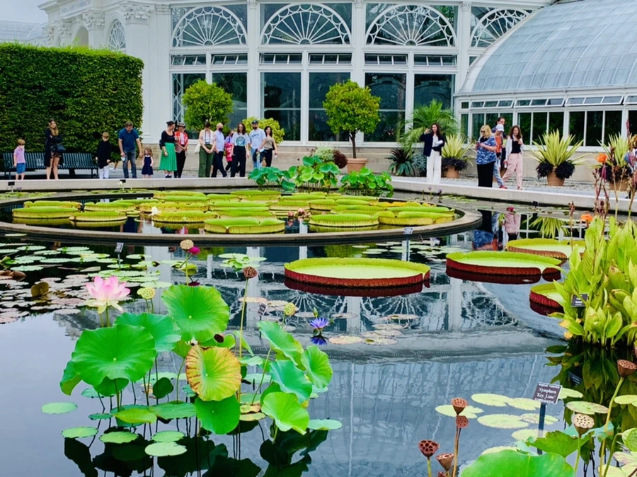 IMG_6455.jpg?type=w966