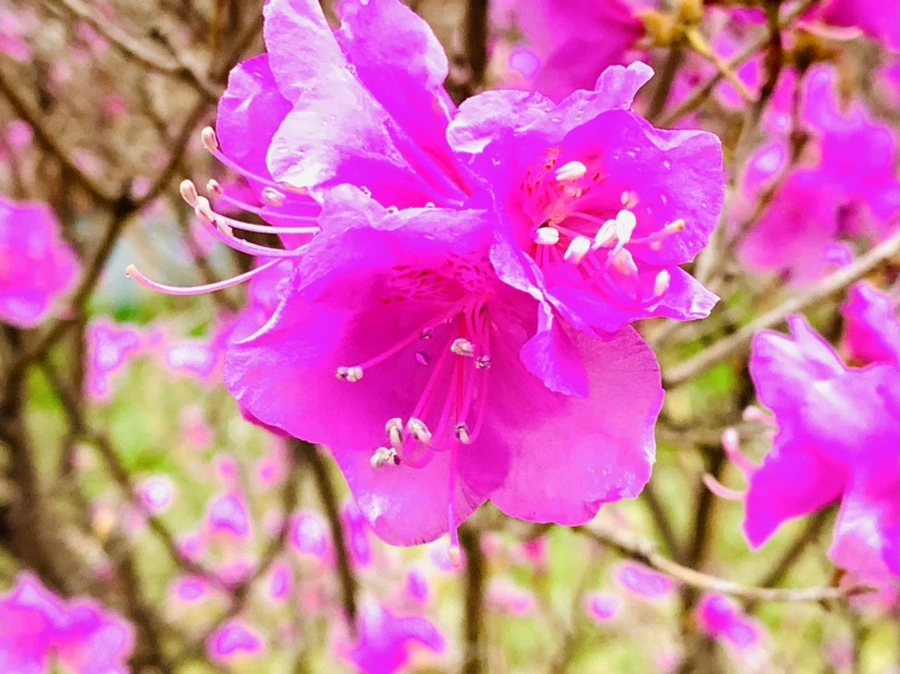 IMG_4764.jpg?type=w966