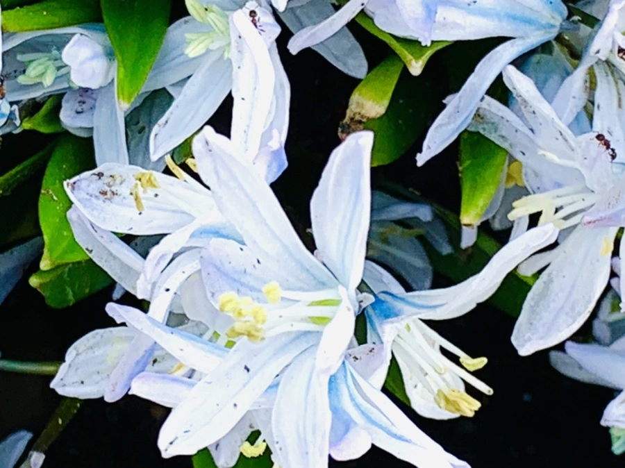 IMG_4123.jpg?type=w966