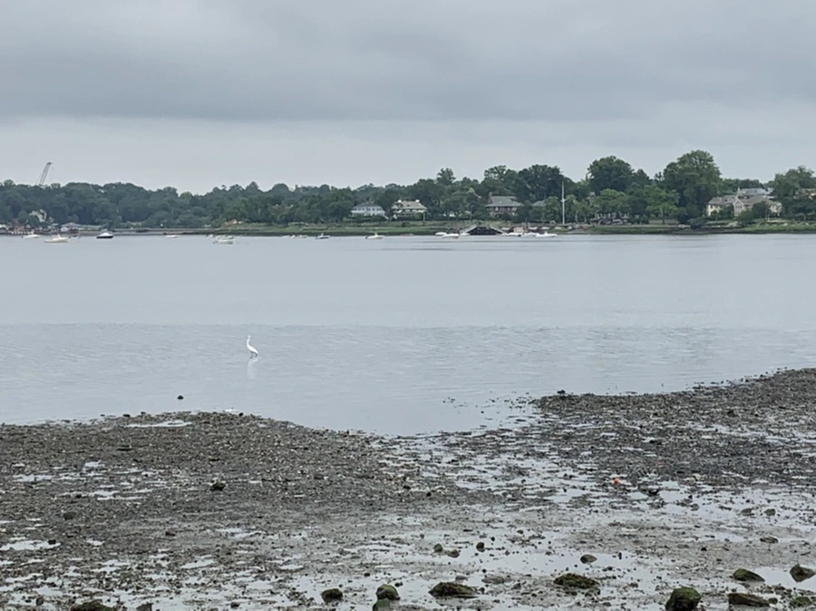 IMG_3701.jpg?type=w966