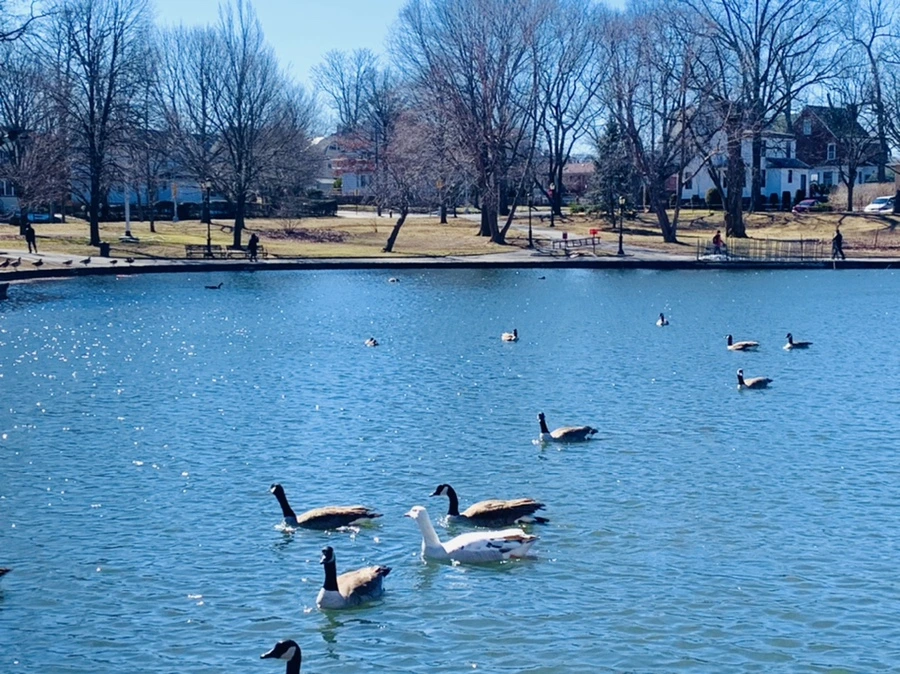 IMG_7522.jpg?type=w966