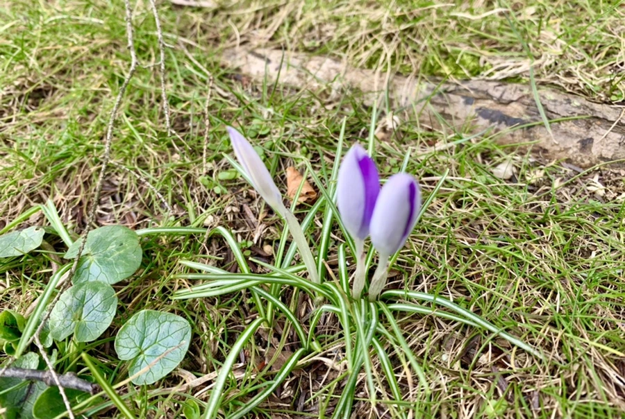 IMG_7078.jpg?type=w966