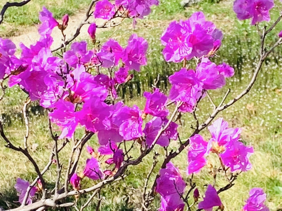 IMG_5536.jpg?type=w966