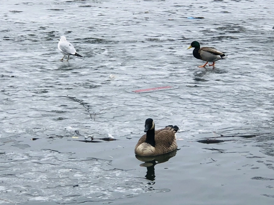 IMG_6185.jpg?type=w966