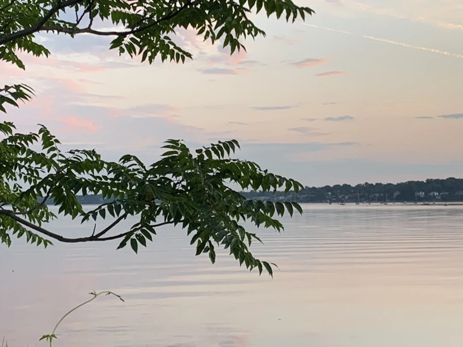 IMG_1181.jpg?type=w966