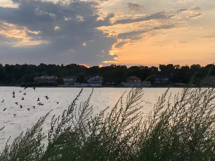 IMG_1730.jpg?type=w966