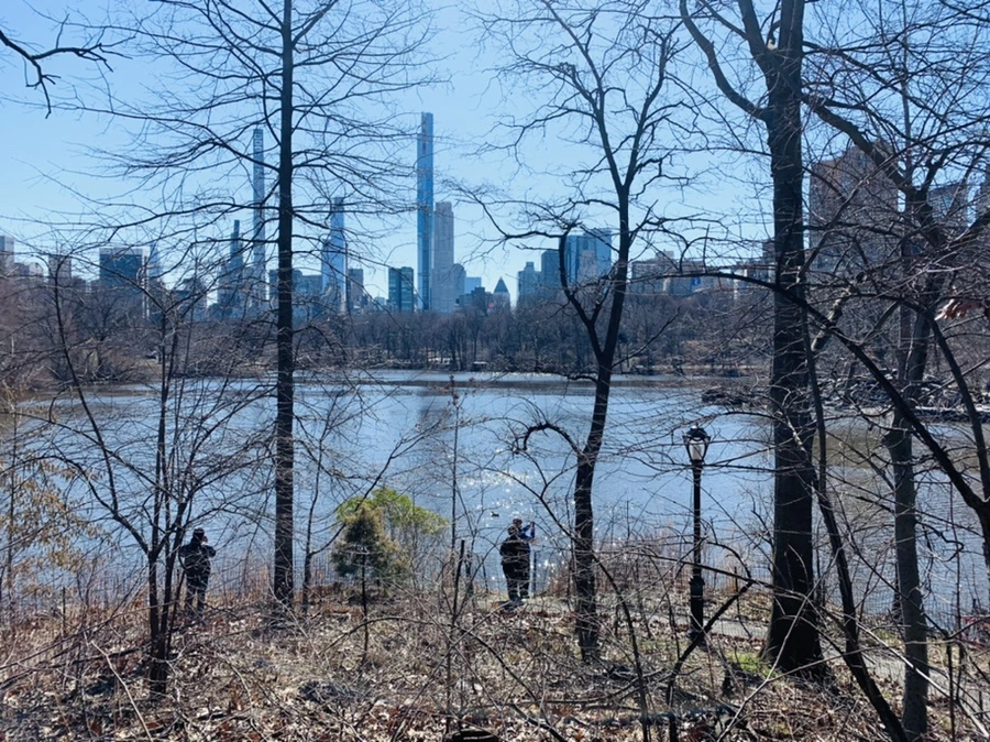 IMG_0718.jpg?type=w966