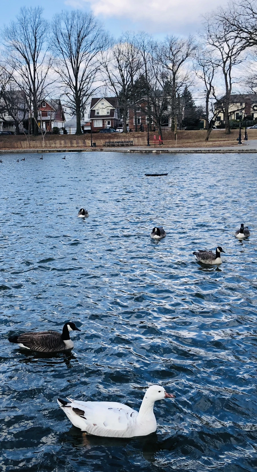 IMG_0151.jpg?type=w966