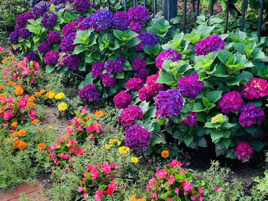 IMG_0359.jpg?type=w966