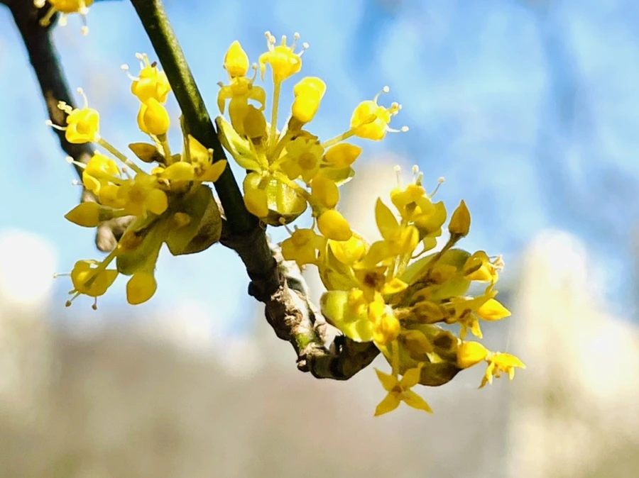 IMG_5551.jpg?type=w966