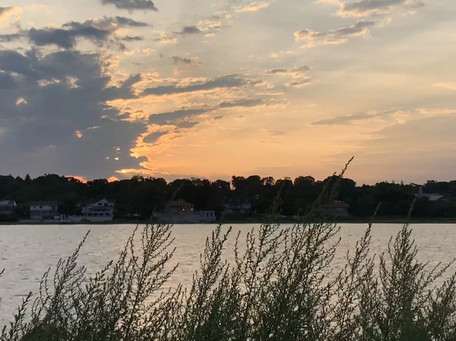 IMG_1740.jpg?type=w966