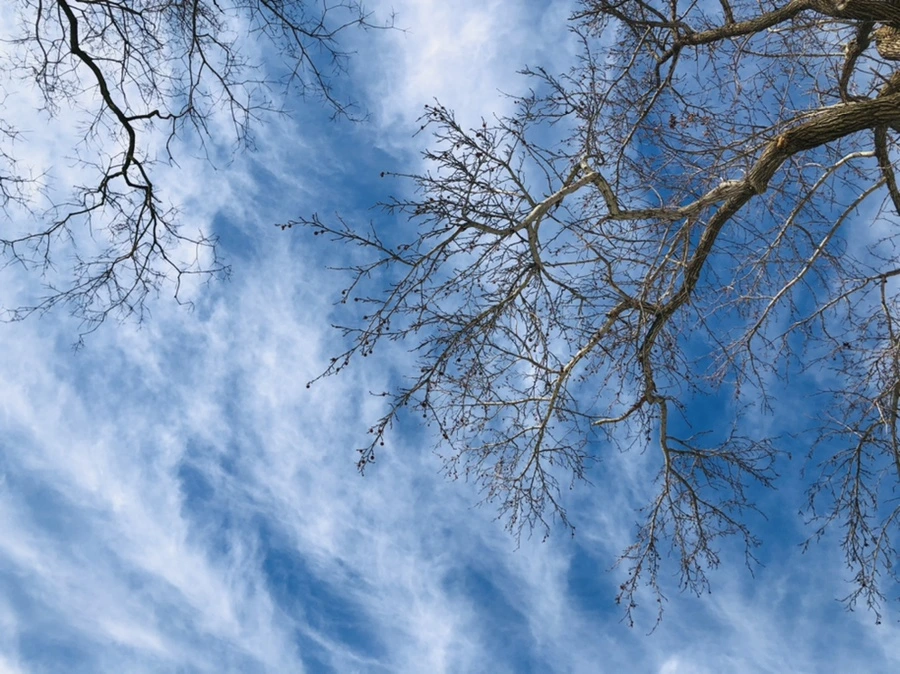 IMG_0120.jpg?type=w966