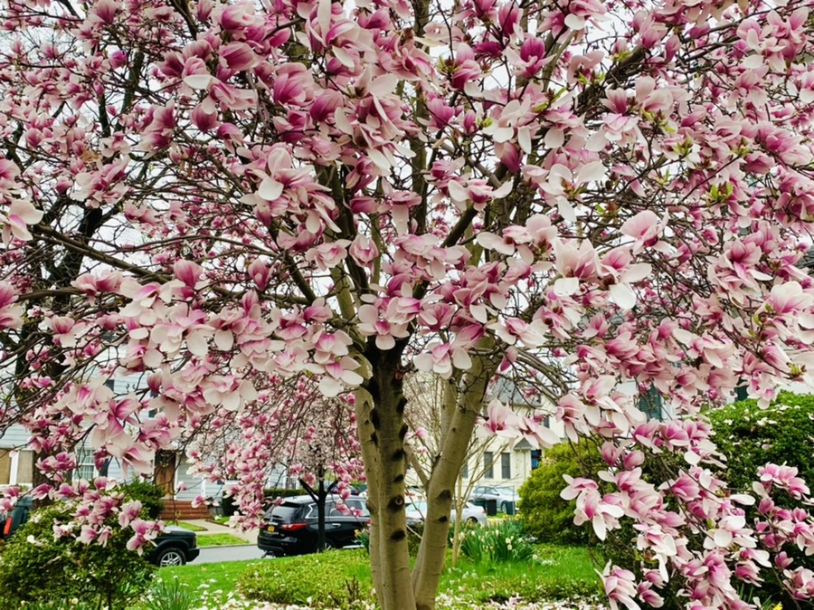 IMG_0980.jpg?type=w966