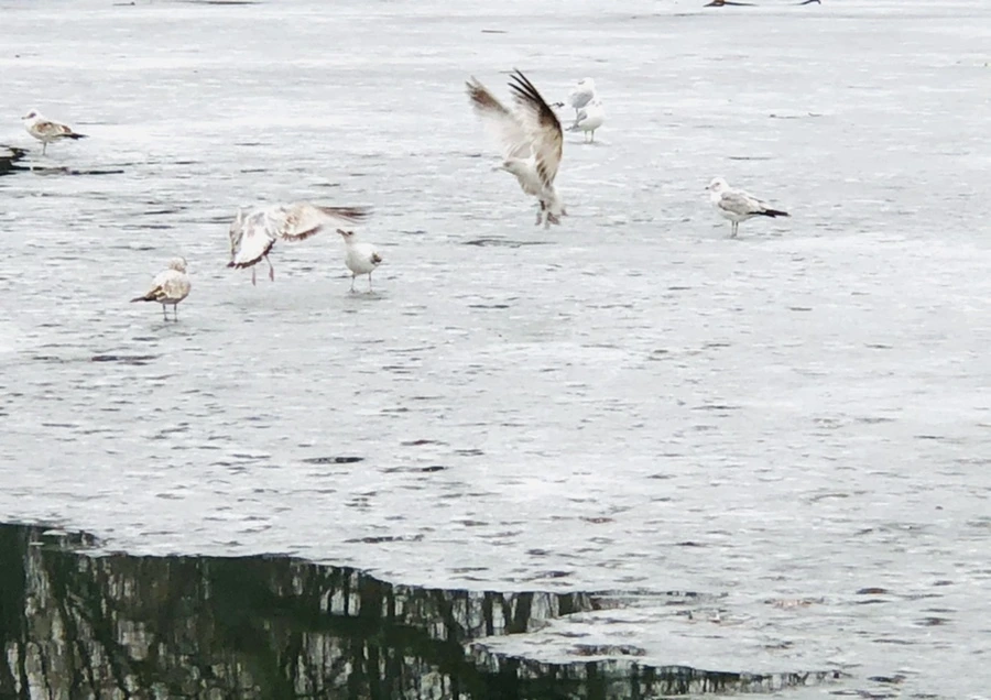 IMG_5511.jpg?type=w966