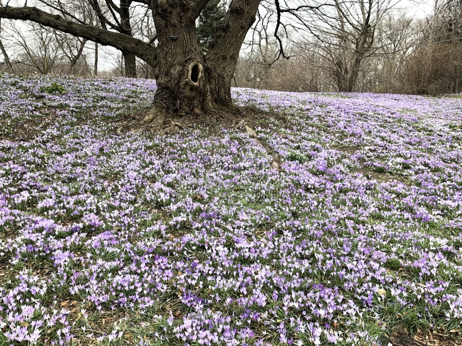 IMG_1982.jpg?type=w966