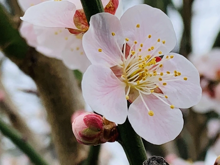 IMG_3565.jpg?type=w966