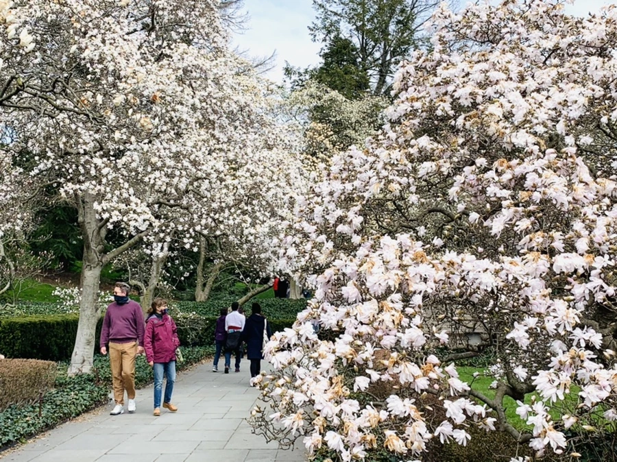 IMG_7175.jpg?type=w966