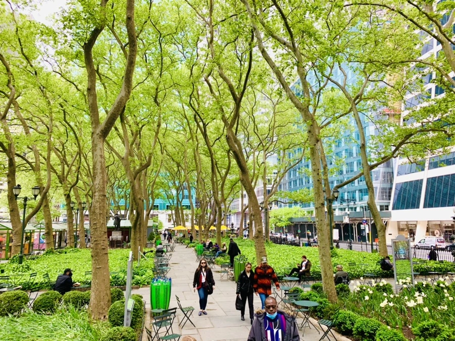 IMG_1709.jpg?type=w966