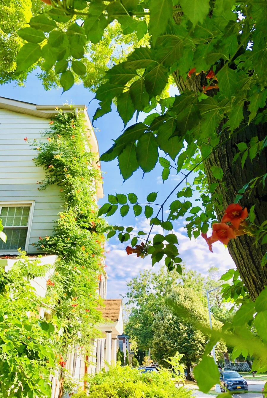 IMG_2138.jpg?type=w966