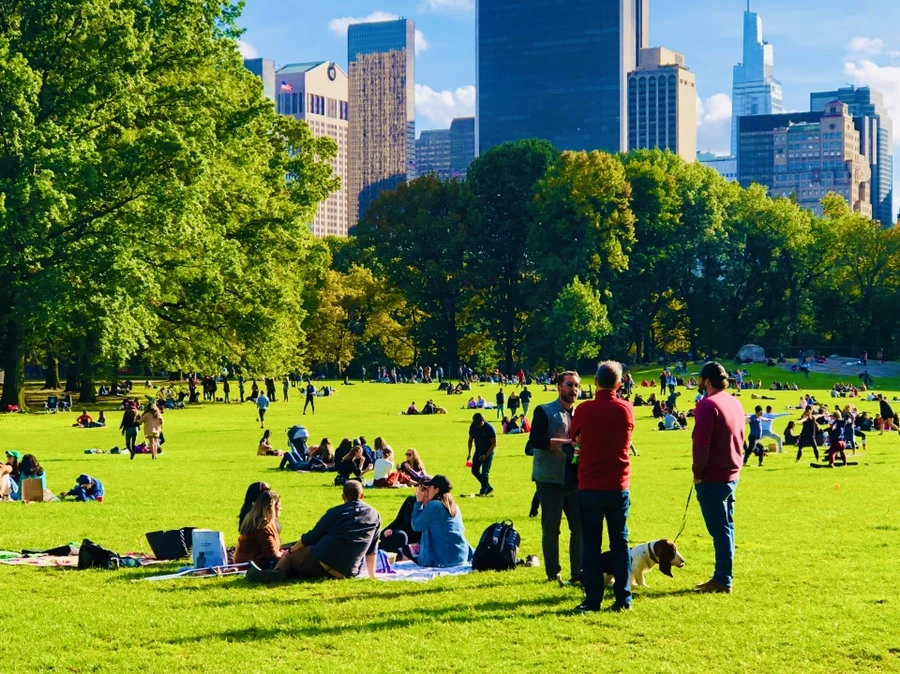 IMG_2114.jpg?type=w966