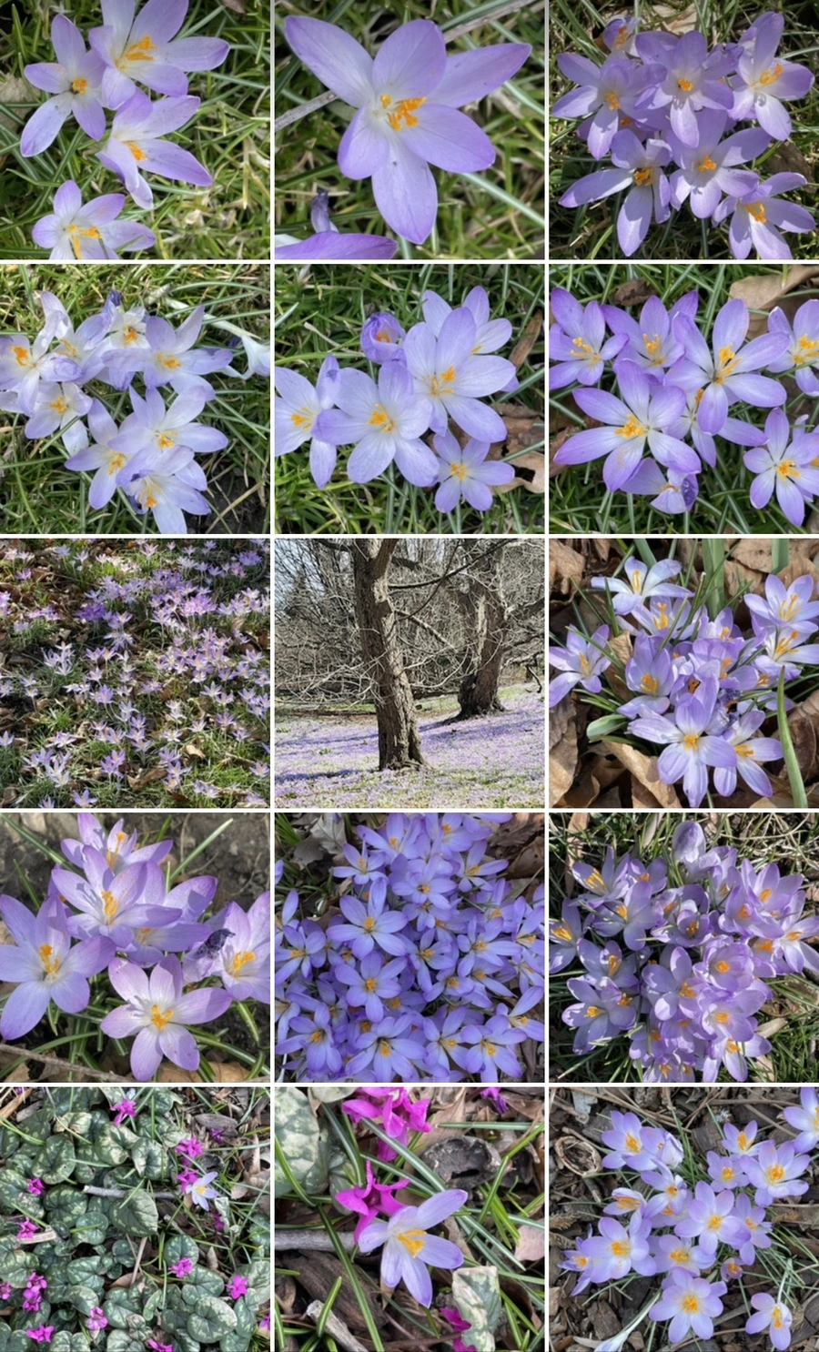 IMG_5404.jpg?type=w966