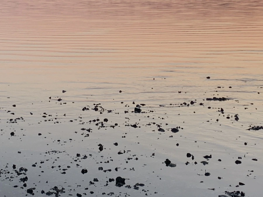 IMG_0105.jpg?type=w966