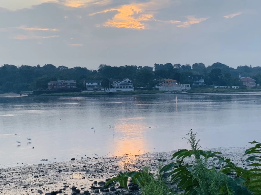 IMG_8192.jpg?type=w966