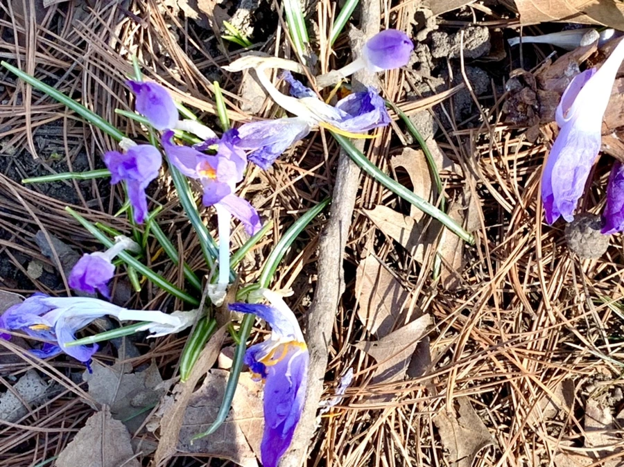 IMG_1457.jpg?type=w966