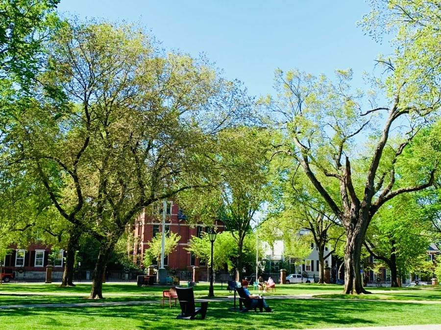 IMG_3088.jpg?type=w966