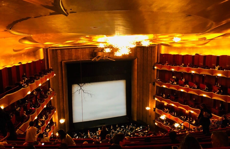 IMG_5361.jpg?type=w966