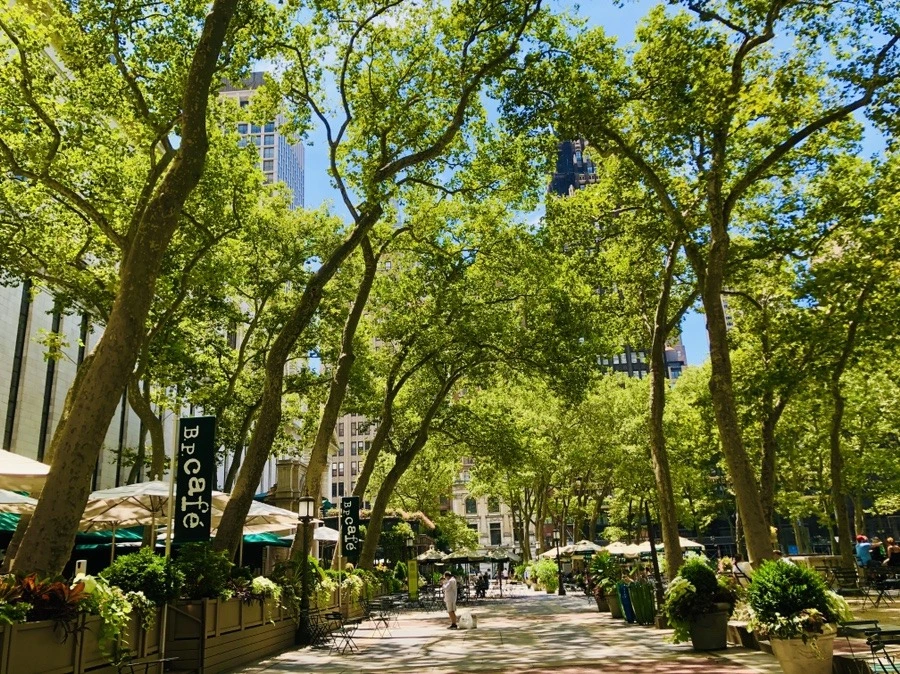 zJGRjeZm2Wh6BMKRLxaaGJmU9UA