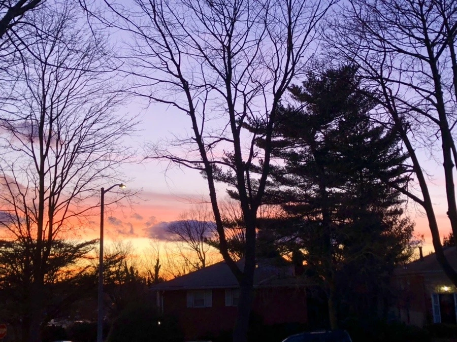 ZfGrNSOI3zNNQlwOT1IiB7SpNBs