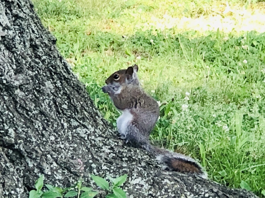 IMG_6759.jpg?type=w966