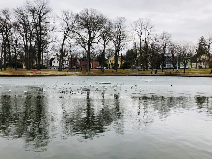 IMG_6402.jpg?type=w966